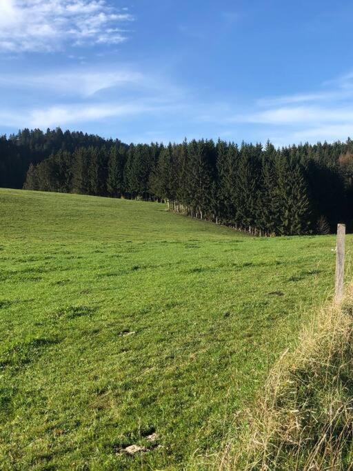 Nuit Insolite - La Cabane Du Haut-Doubs Les Gras Eksteriør billede