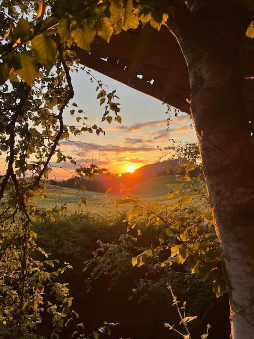 Nuit Insolite - La Cabane Du Haut-Doubs Les Gras Eksteriør billede
